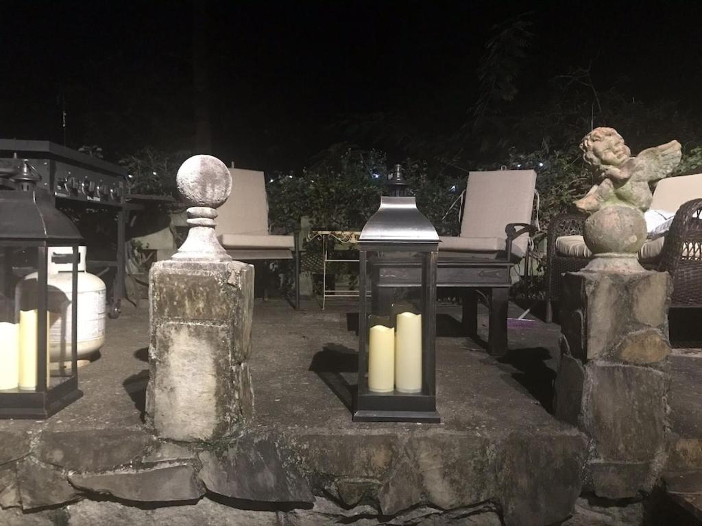  | Carriage House Villa and gardens in downtown historic Lexington SC