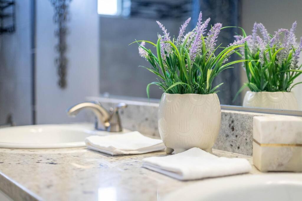 | Newly Updated, Modern & Pet Friendly