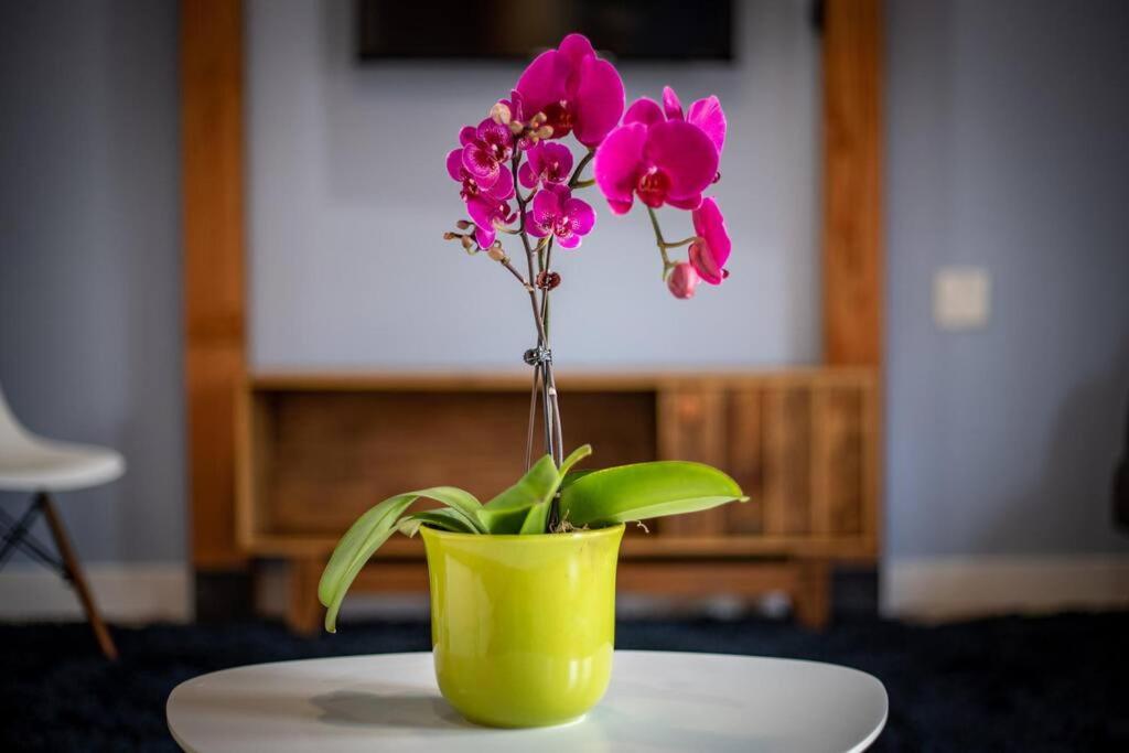 | Adorable & Pet Friendly-Close to U and Downtown!