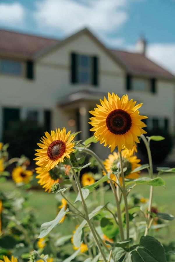 | Skaneateles Suites