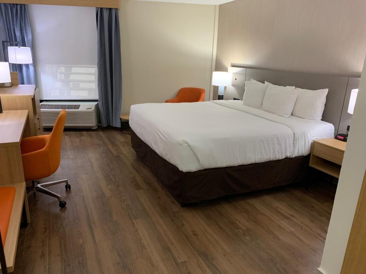 King Room - Accessible/Non-Smoking at Comfort Inn & Suites Nashville Downtown – Stadium