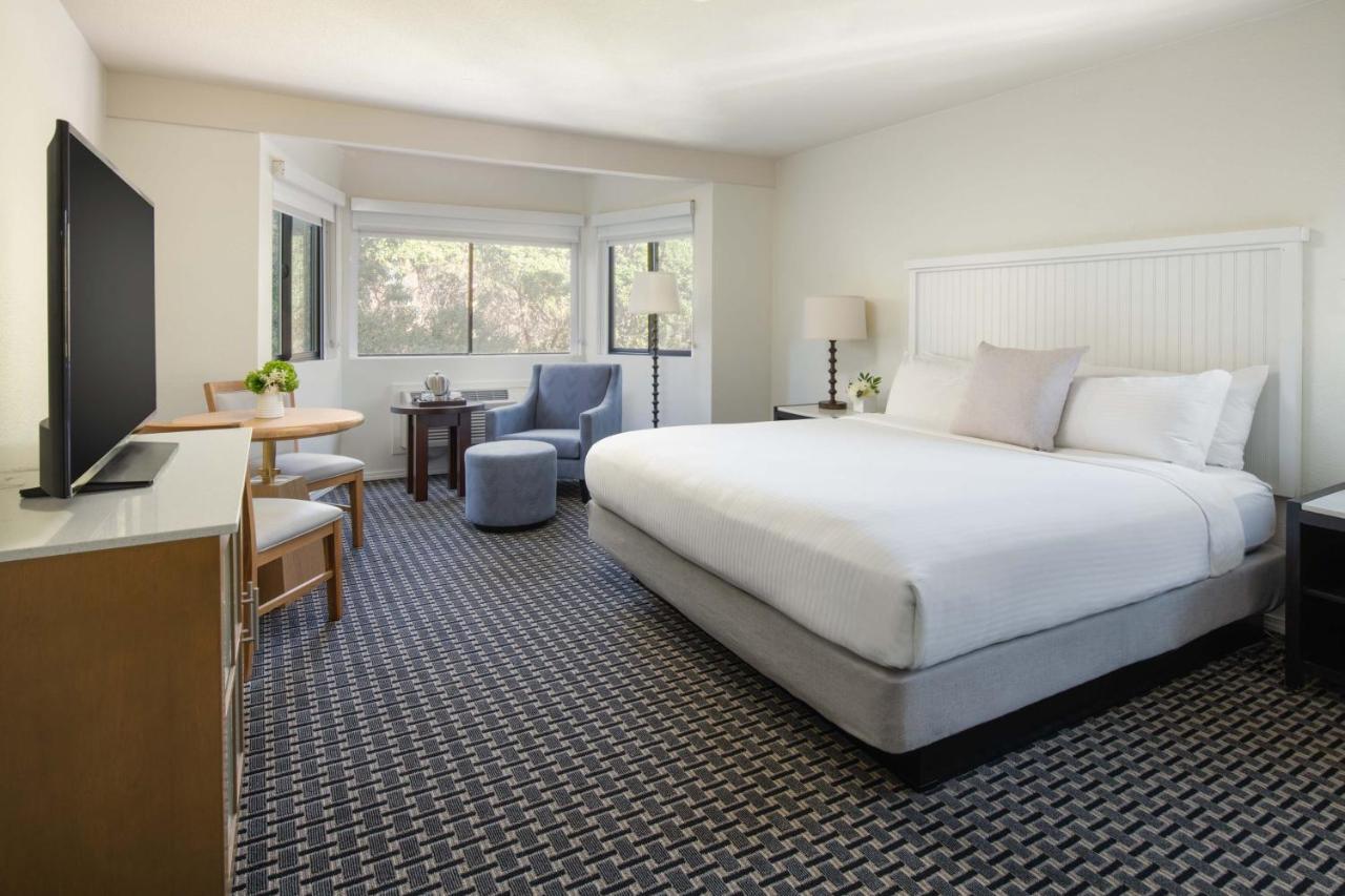 Standard King Room at The Lodge at Tiburon
