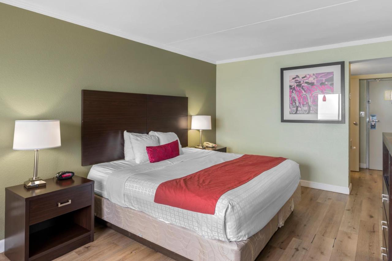 King Room - Disability Access/Non-Smoking at Sandcastle Resort On The Beach