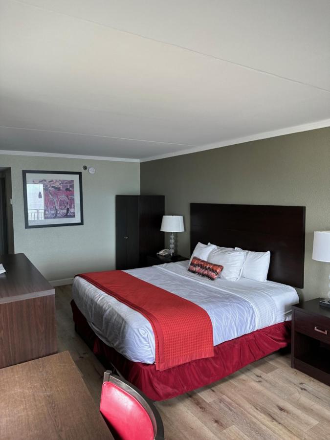 One-Bedroom Suite at Sandcastle Resort On The Beach
