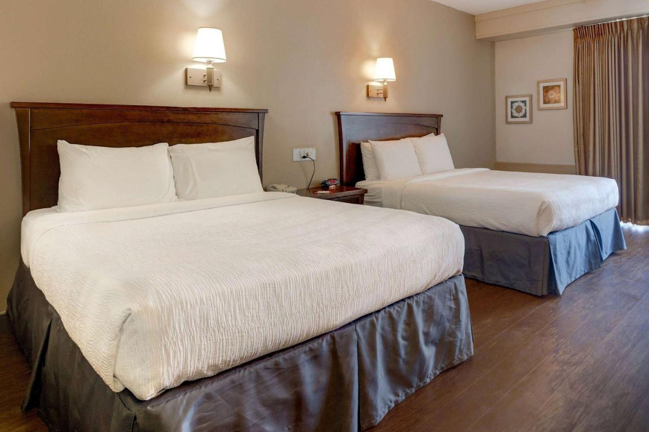 | Howard Johnson by Wyndham Amherst Hadley