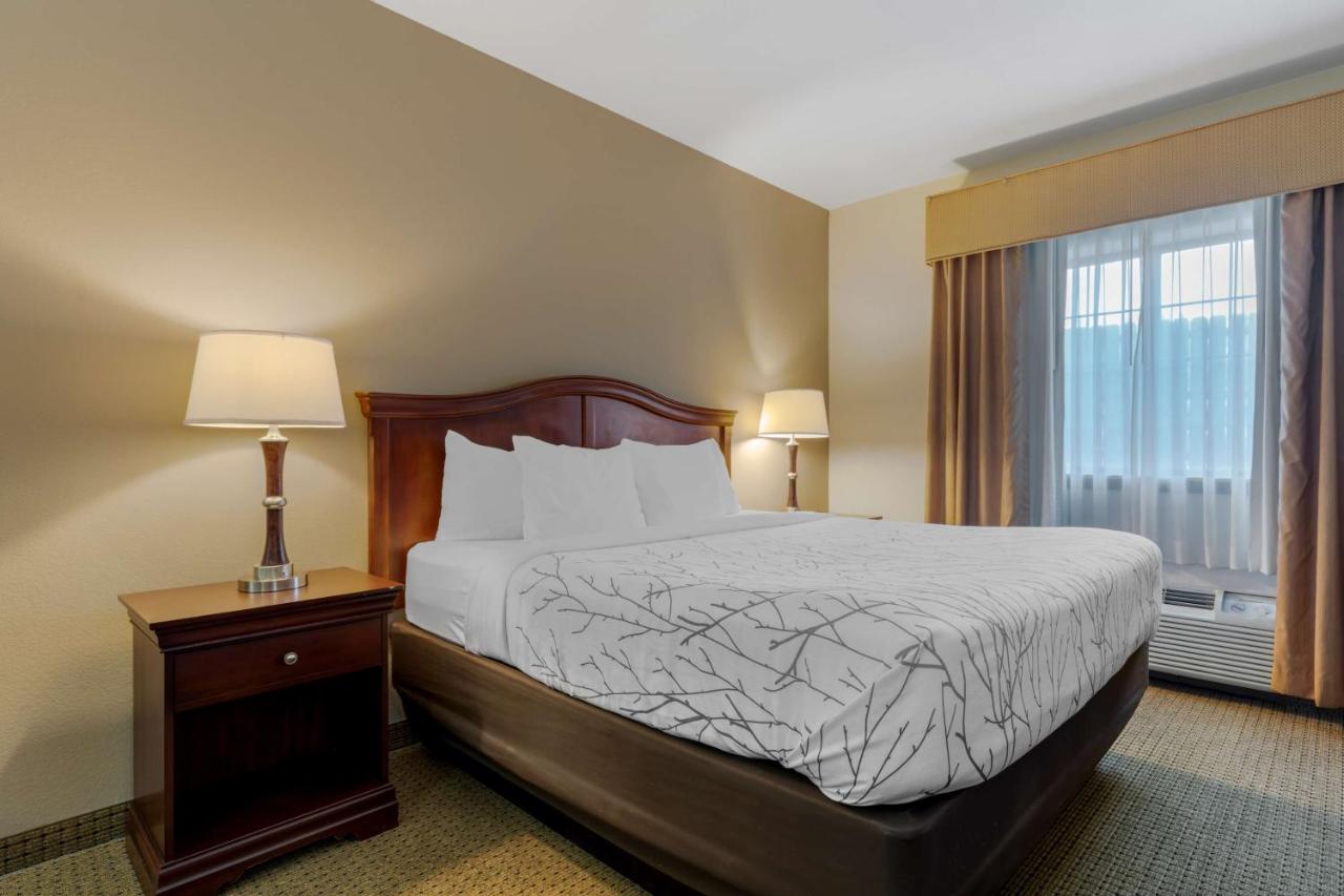 King Room - Non-Smoking at Best Western Plus Sweetwater Inn & Suites