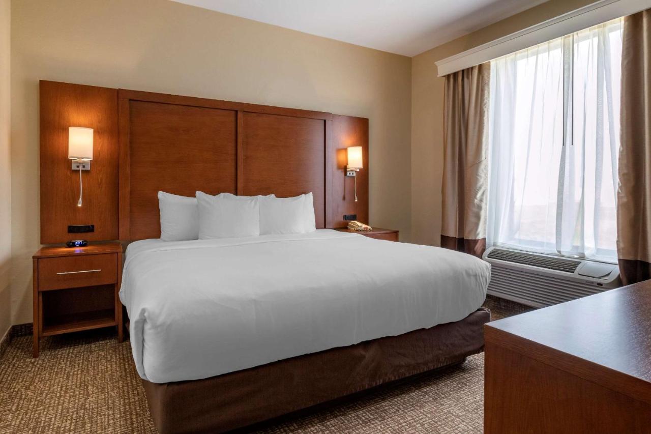 Room #49186914 at Comfort Suites Houston near Medical Center- NRG Stadium