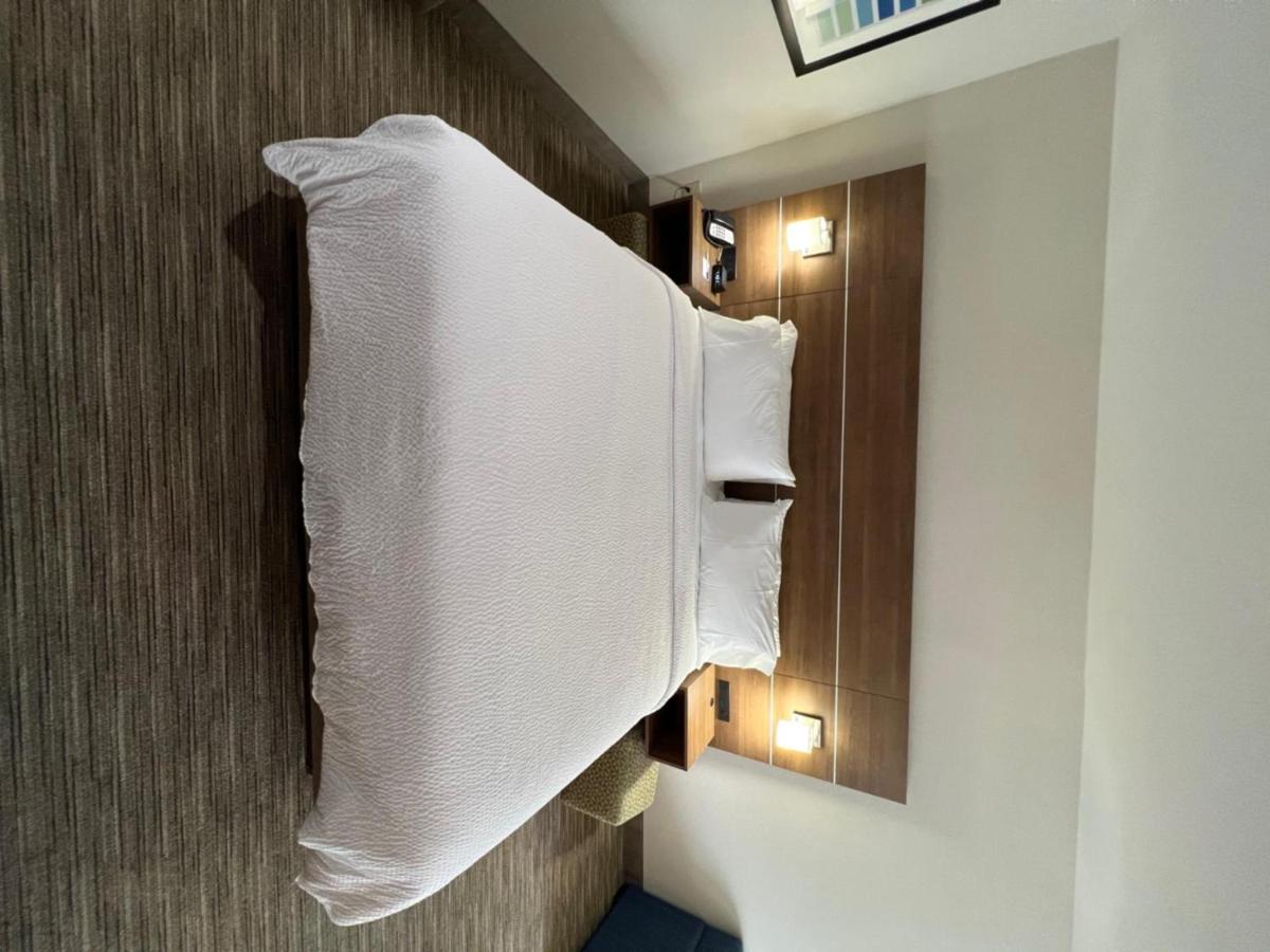Queen Suite - Disability Access Tub/Non-Smoking at Holiday Inn Express & Suites, Lake Elsinore by IHG