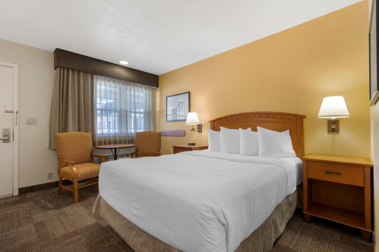 Queen Room - Non-Smoking at Best Western Pioneer