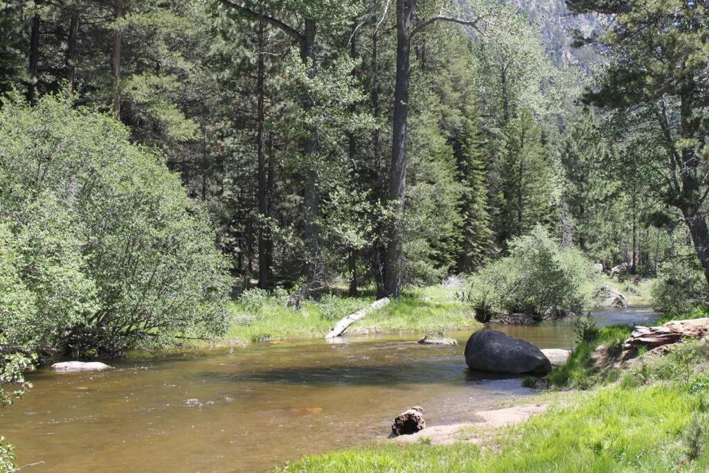  | Riverside 6 Bed 6 Bth Heated Indoor Pool & HotTub & Sauna