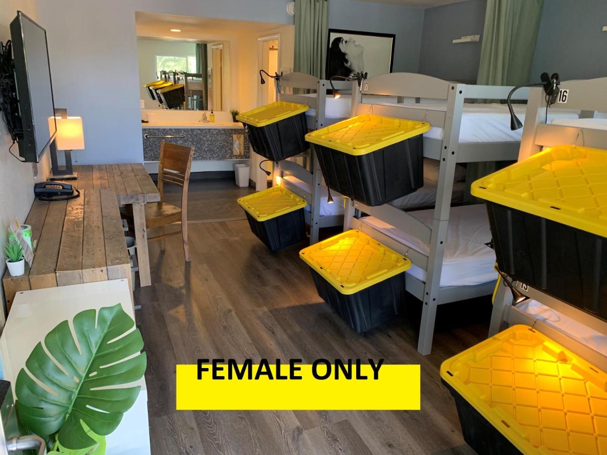 Bed in 6-Bed Female Shared Room at Bposhtels Las Vegas