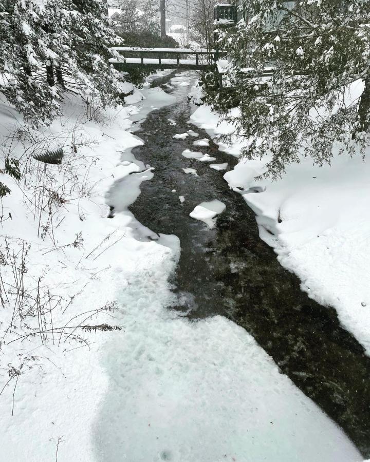| Mt Mitchell Cabin Rentals