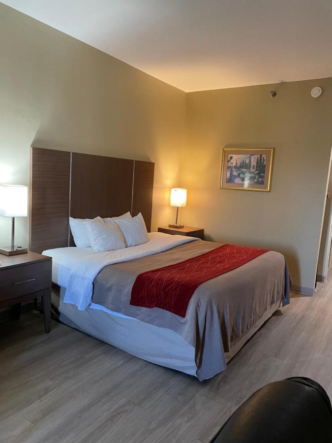 King Room - Non-Smoking at Econo Lodge Newport Smoky Mountains Gateway