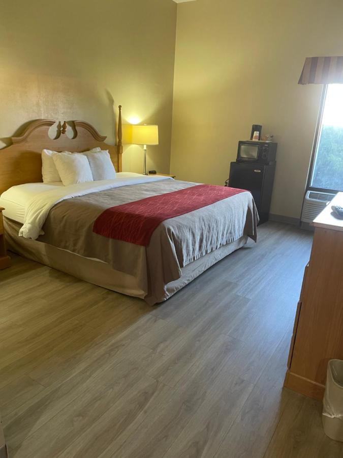 King Room with Roll-In Shower - Disability Access at Econo Lodge Newport Smoky Mountains Gateway