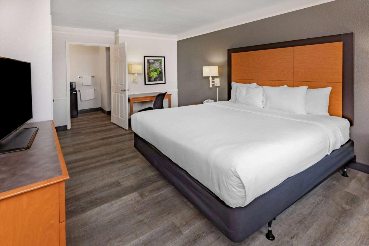 King Room with Roll-In Shower - Mobility/Hearing Accessible - Non-Smoking at La Quinta Inn by Wyndham Laredo I-35