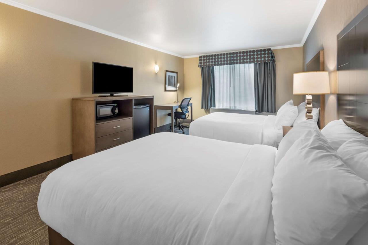 Queen Room with Two Queen Beds and Roll-In Shower - Disability Access/Non-Smoking at Best Western Plus Chena River Lodge