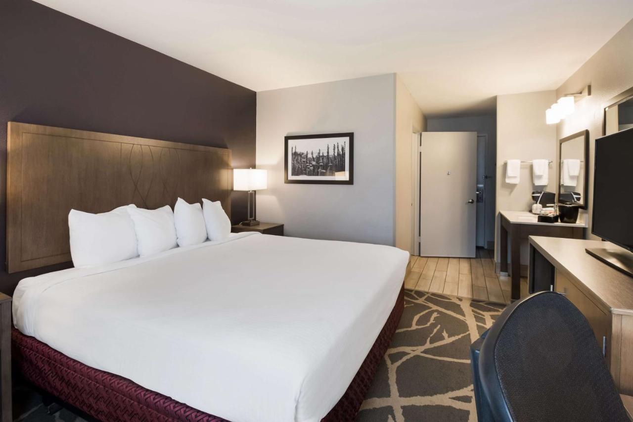 King Room with Roll-In Shower - Disability Access at Best Western McMinnville Inn