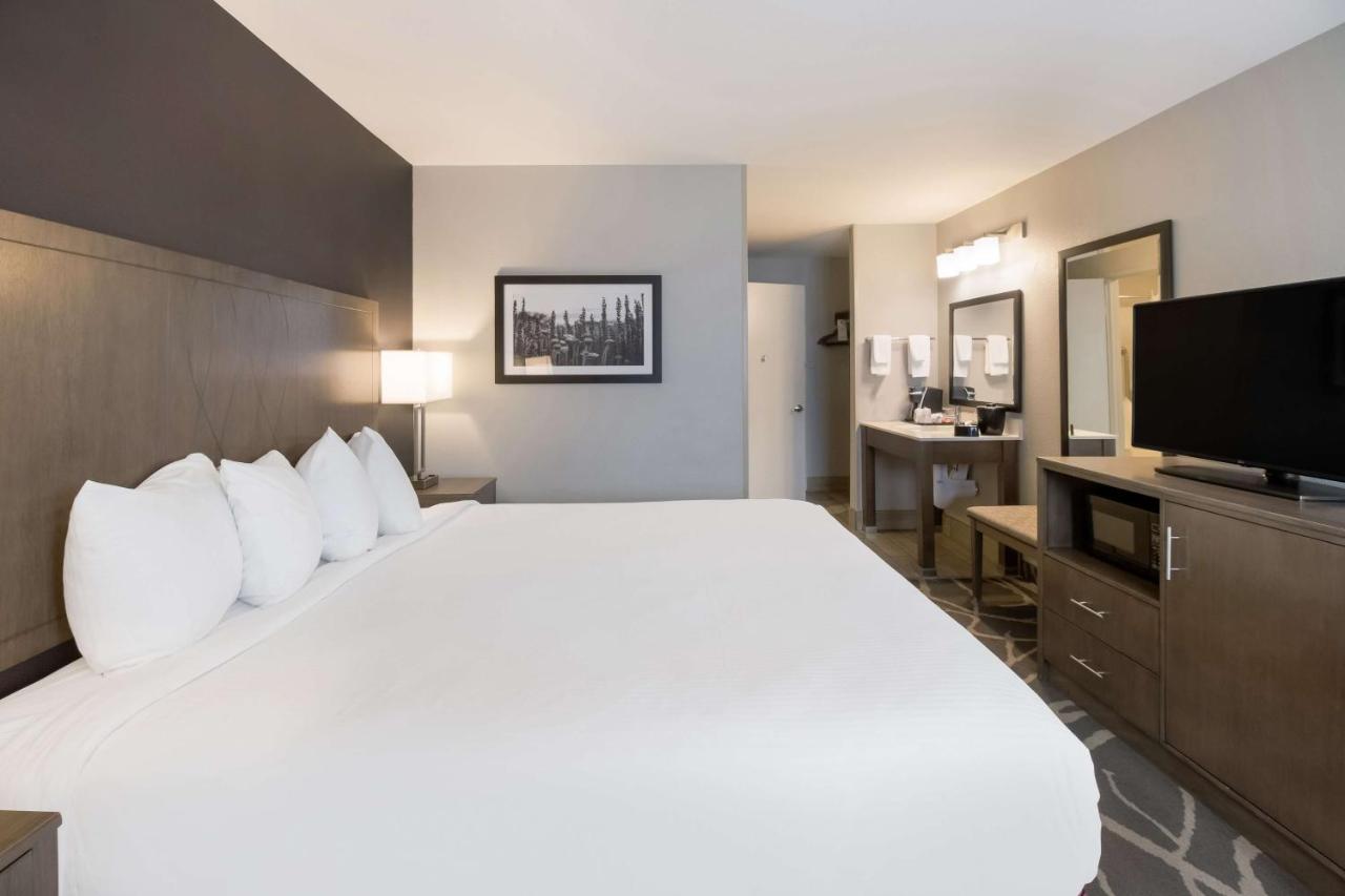 King Room with Roll-In Shower - Disability Access at Best Western McMinnville Inn