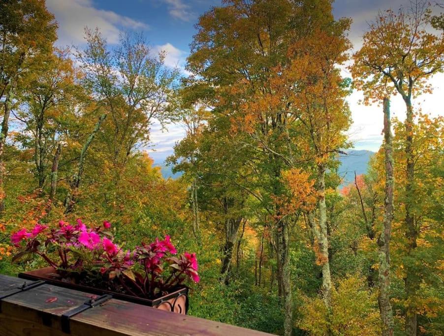 | APPresSki - 5 bed Ski in Ski out - 50 Steps to Ski Sugar Mountain Slopes