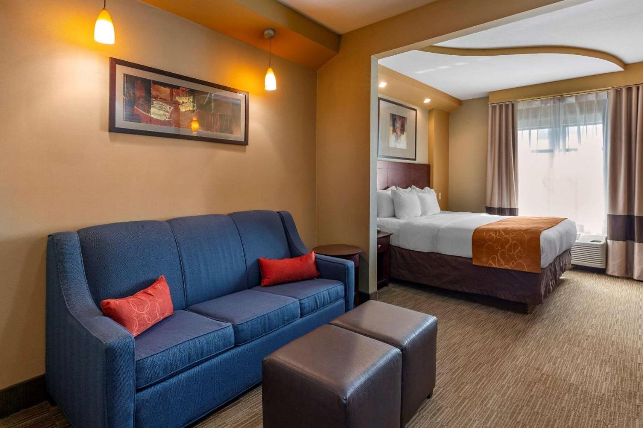 Suite with King Bed - Non-Smoking at Comfort Suites Perrysburg - Toledo South