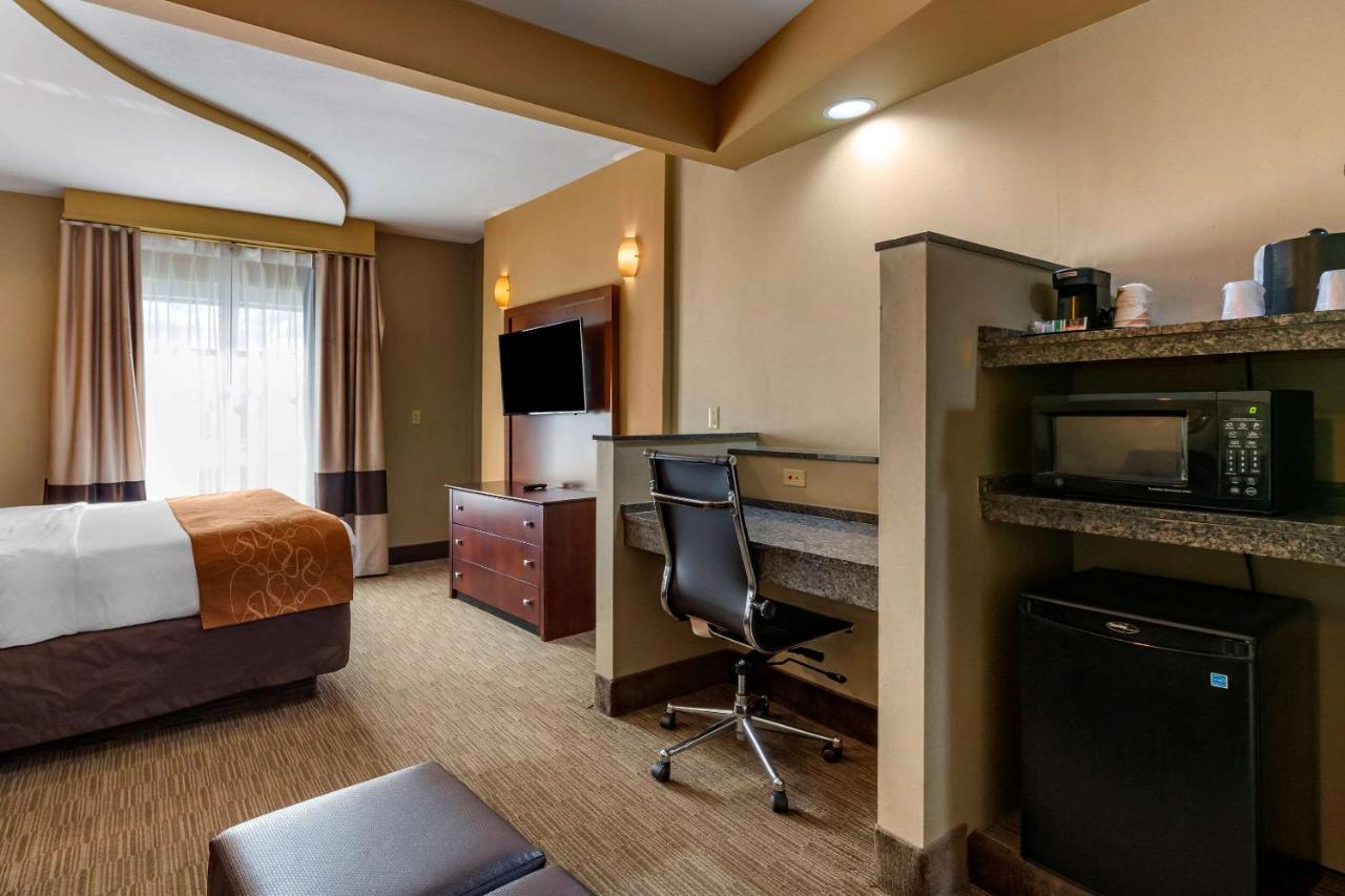 Suite with King Bed - Non-Smoking at Comfort Suites Perrysburg - Toledo South