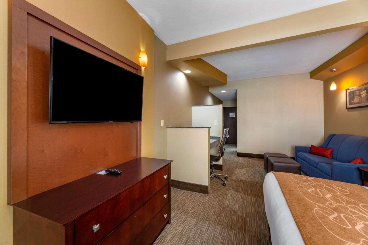Suite with King Bed - Non-Smoking at Comfort Suites Perrysburg - Toledo South