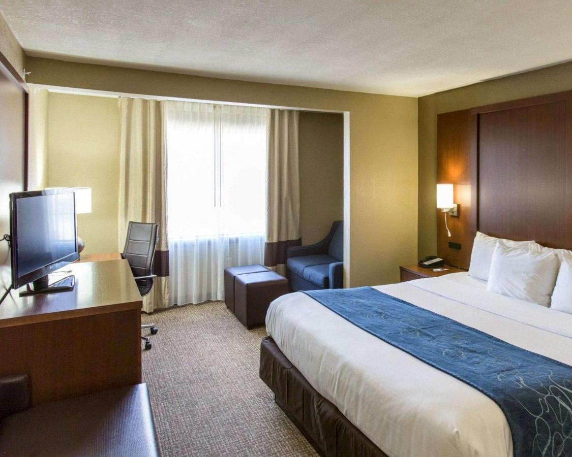 King Suite - Disability Access/Non-Smoking at Comfort Suites Idabel