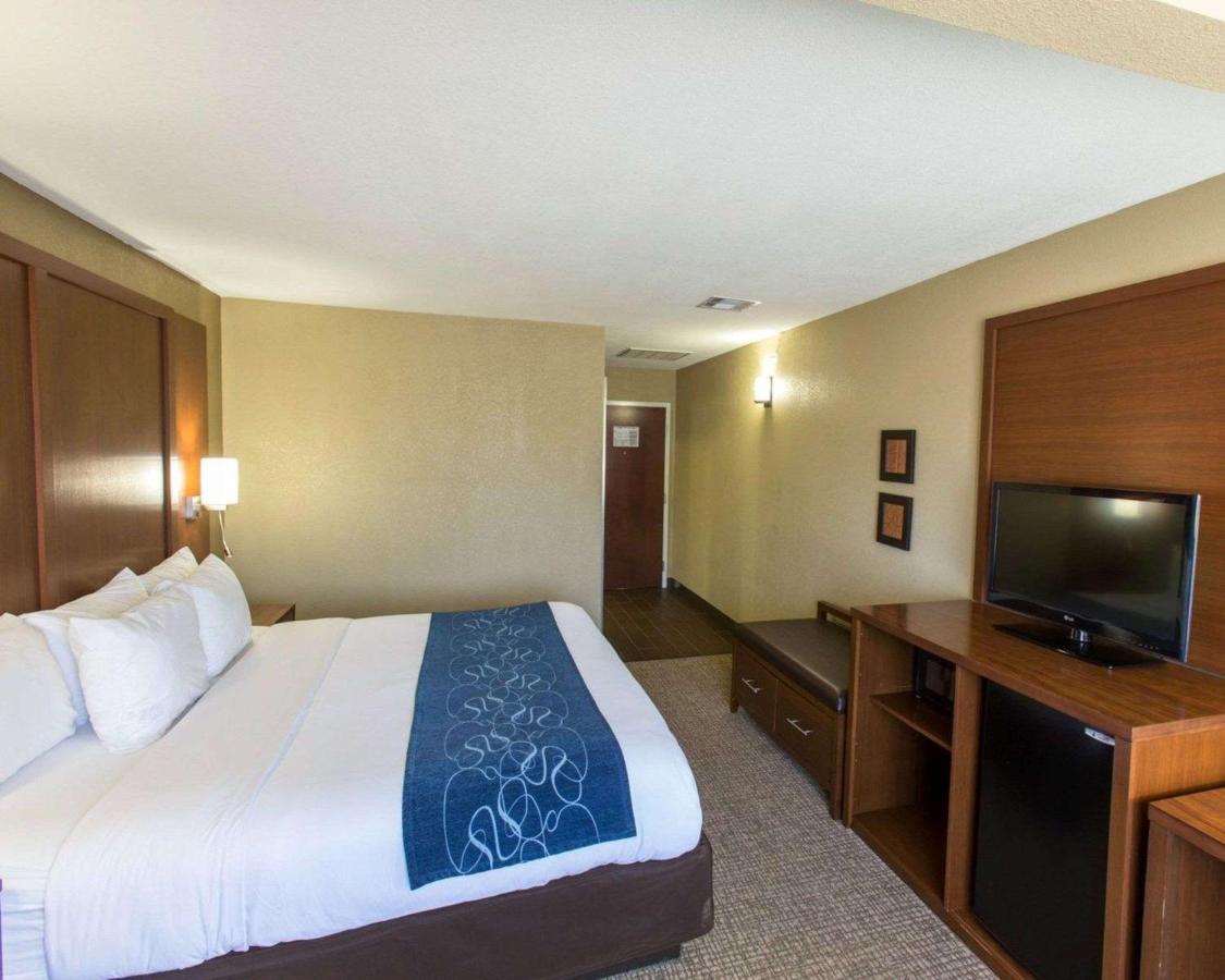 King Suite - Disability Access/Non-Smoking at Comfort Suites Idabel