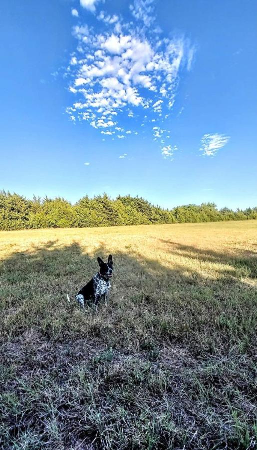 | Antiki Wiki Acres at the Lake