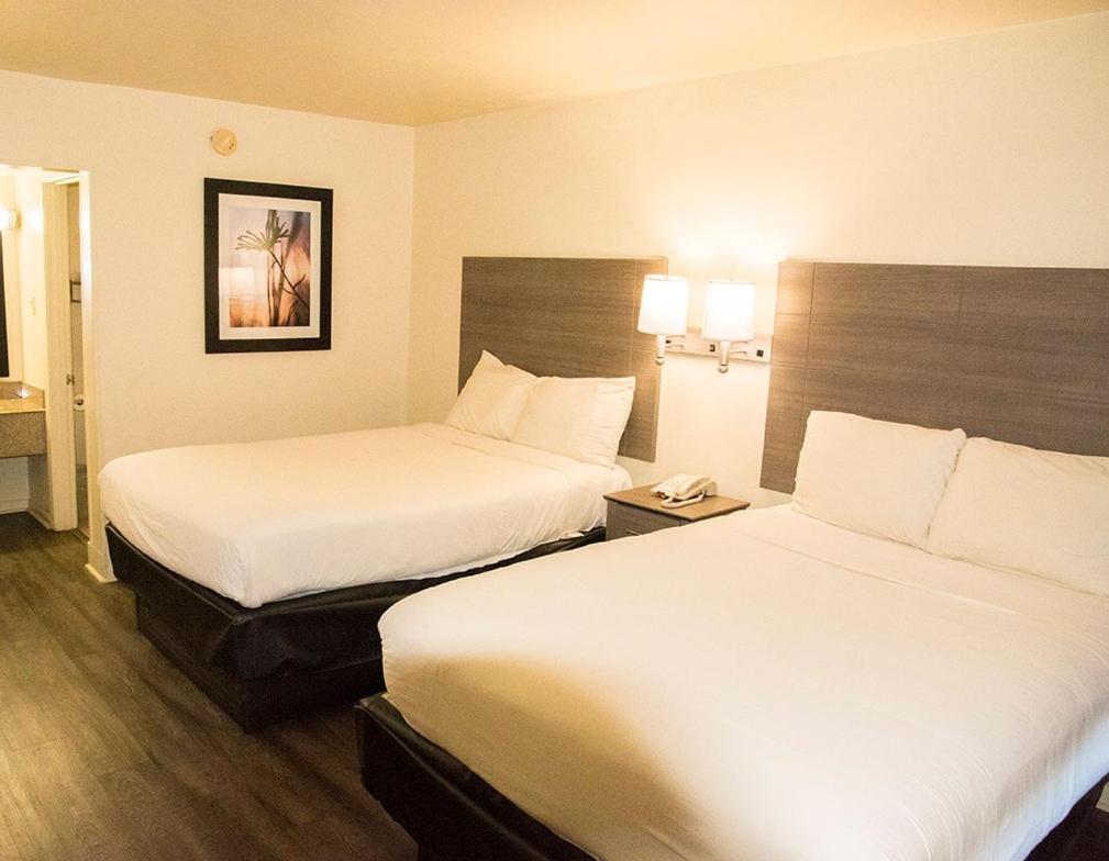 | Exacta Inn
