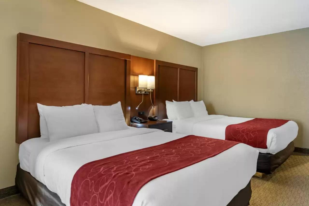 Queen Suite - Non-Smoking at Comfort Suites Mason near Kings Island