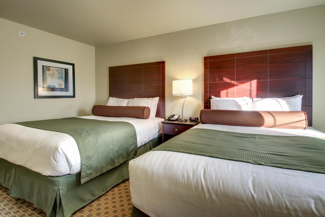 Deluxe Queen Room with Two Queen Beds at Cobblestone Inn & Suites - Cambridge