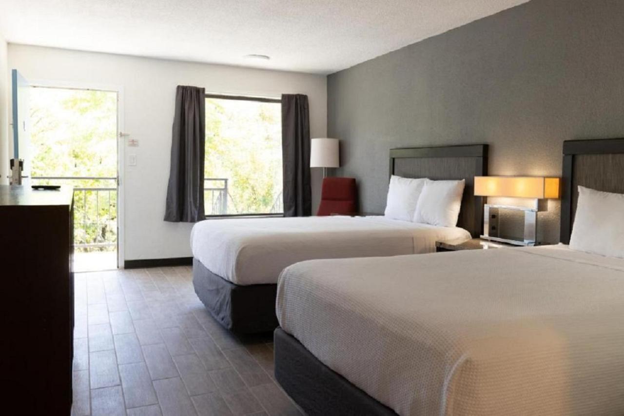 Budget Double Room at Hotel Elite