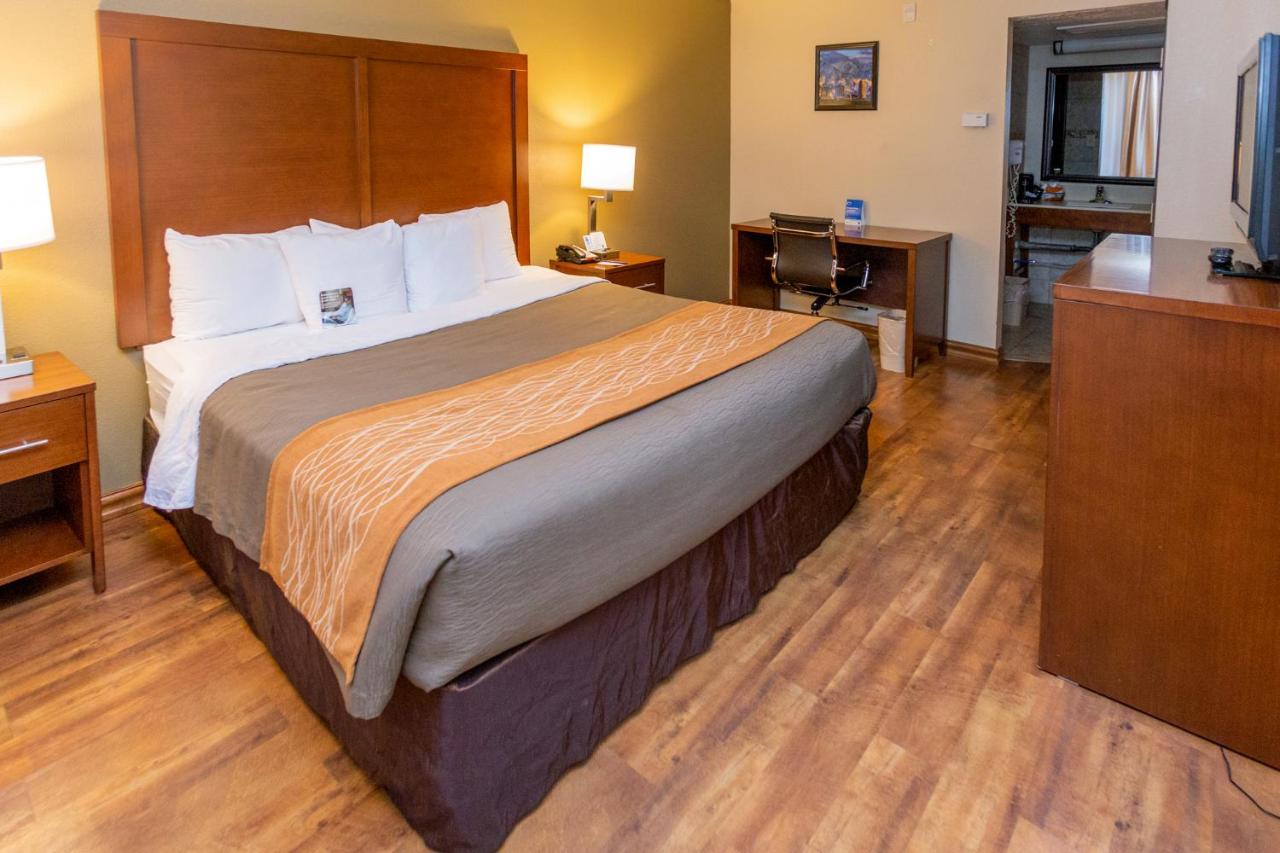 King Room - Non-Smoking at Comfort Inn Salt Lake City Downtown