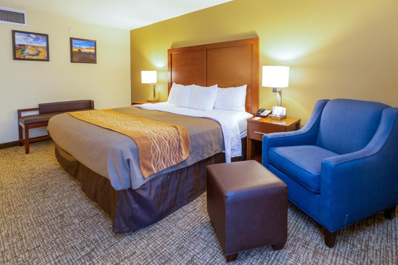 King Room - Non-Smoking at Comfort Inn Salt Lake City Downtown