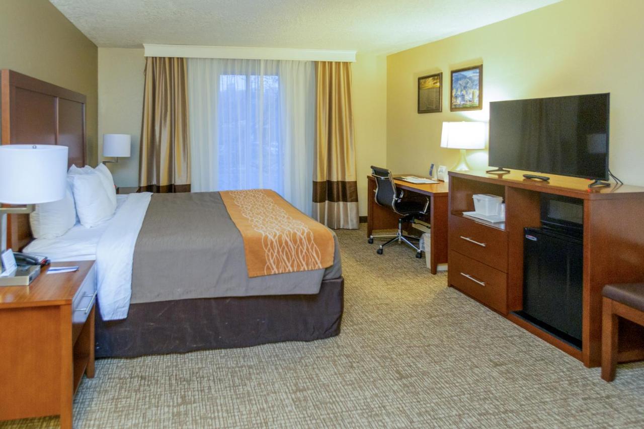 King Room - Non-Smoking at Comfort Inn Salt Lake City Downtown