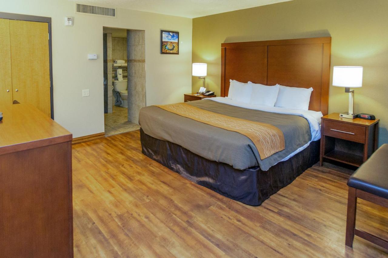 King Room - Accessible/Non-Smoking at Comfort Inn Salt Lake City Downtown