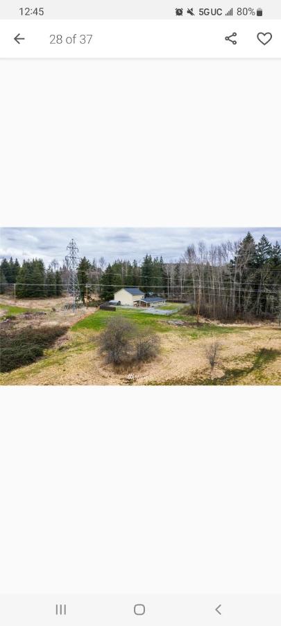 | Silverlake Bungalo Near Mt. Rainer