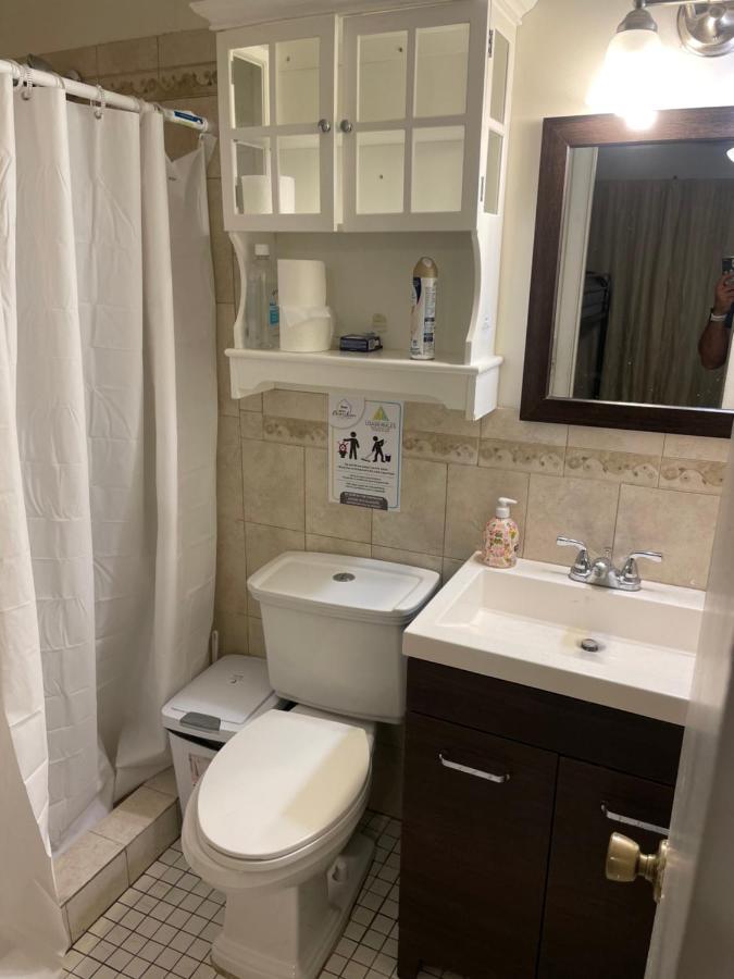 | hostel brazilian downtown