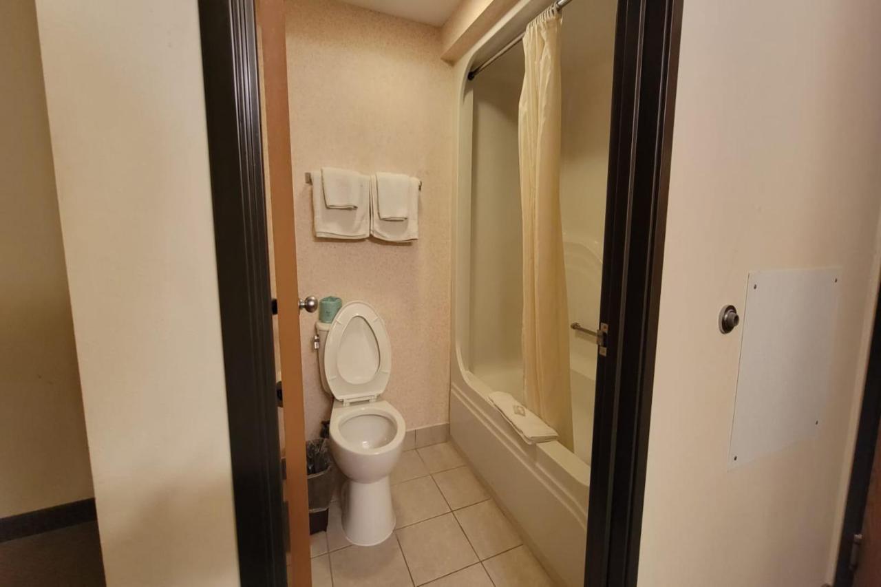 | Single Tree Inn Hotel O