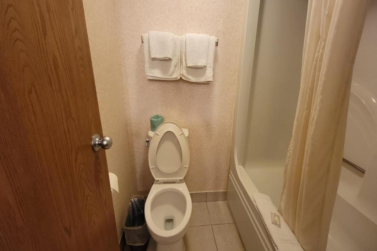 | Single Tree Inn Hotel O