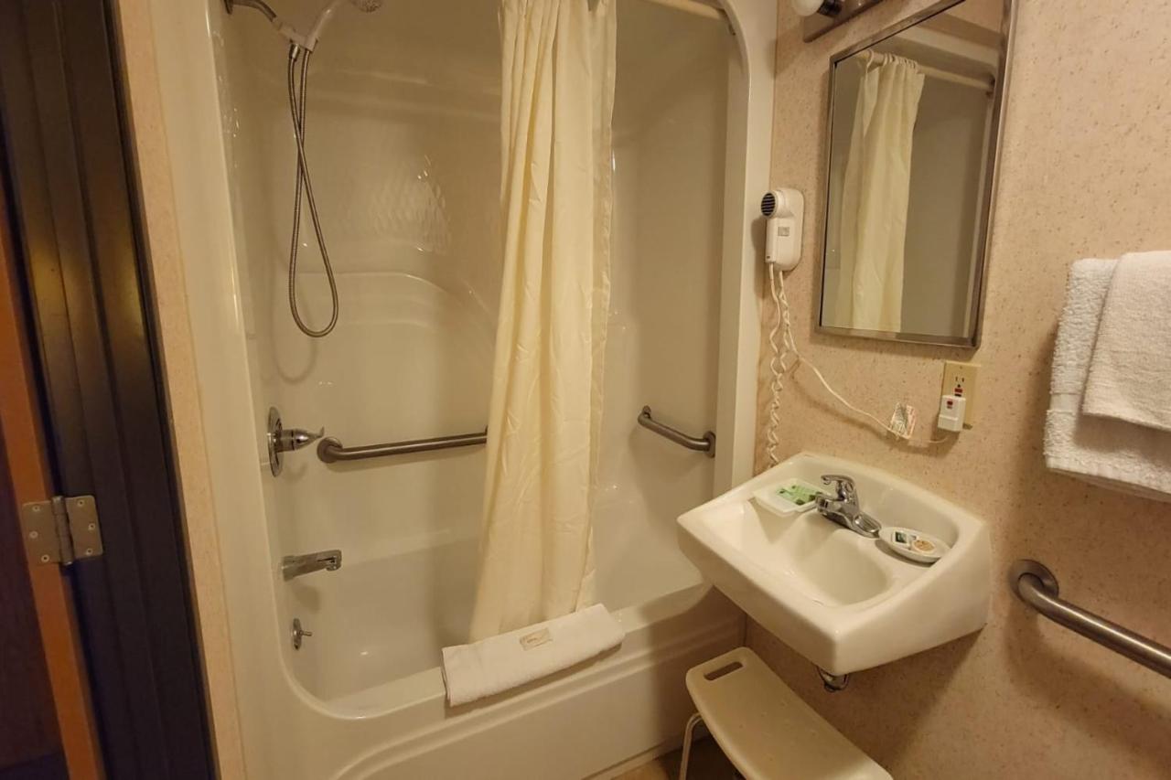 | Single Tree Inn Hotel O