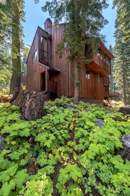 | Mid-Cent. Redwood Retreat w/ Sparklebridge