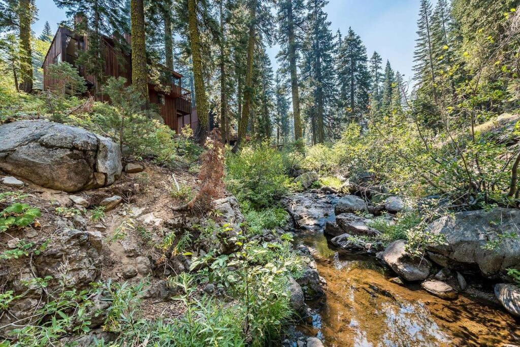 | Mid-Cent. Redwood Retreat w/ Sparklebridge