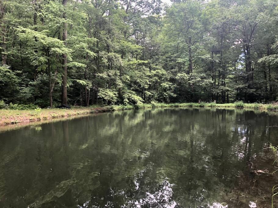 | Kittatinny Ridge Retreat