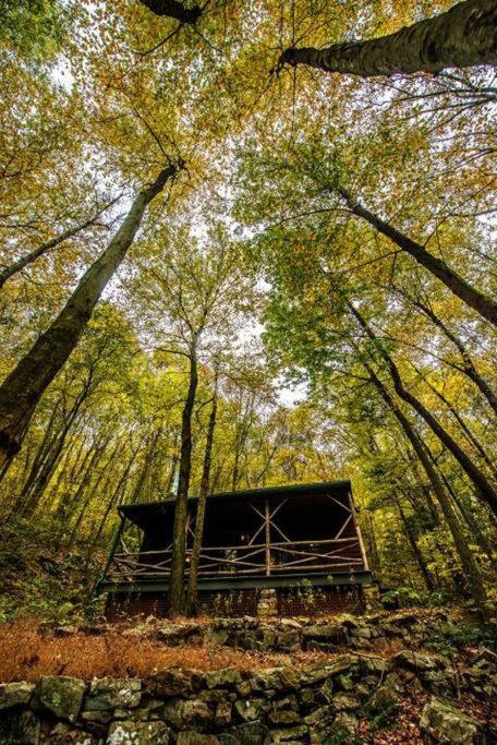 | Cozy Appalachian Trail Cottage