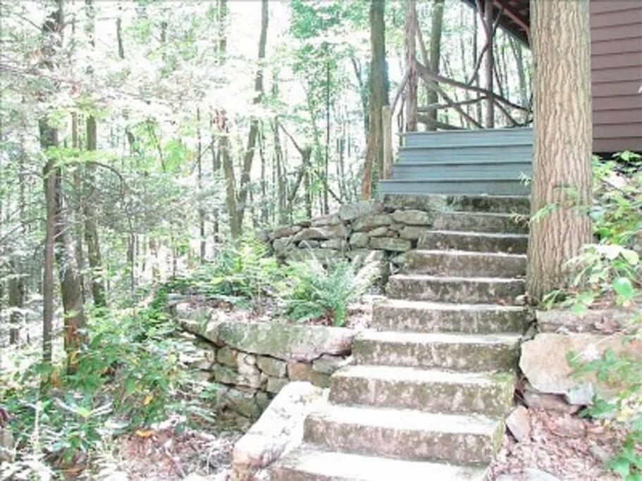 | Cozy Appalachian Trail Cottage