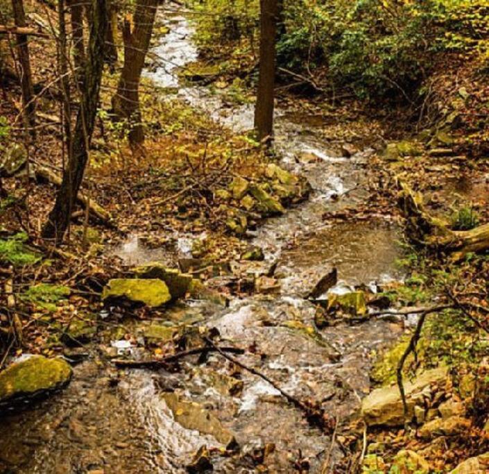 | Cozy Appalachian Trail Cottage