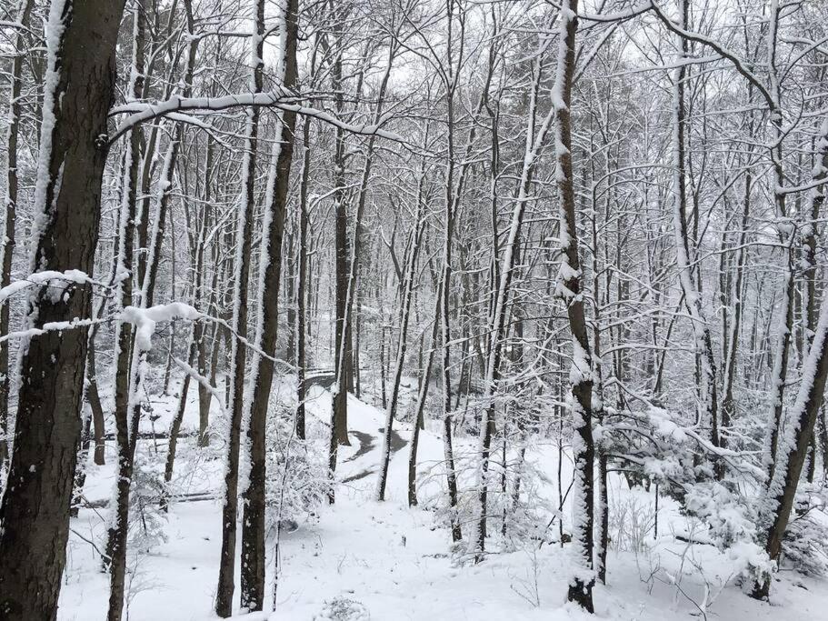 | Cozy Appalachian Trail Cottage