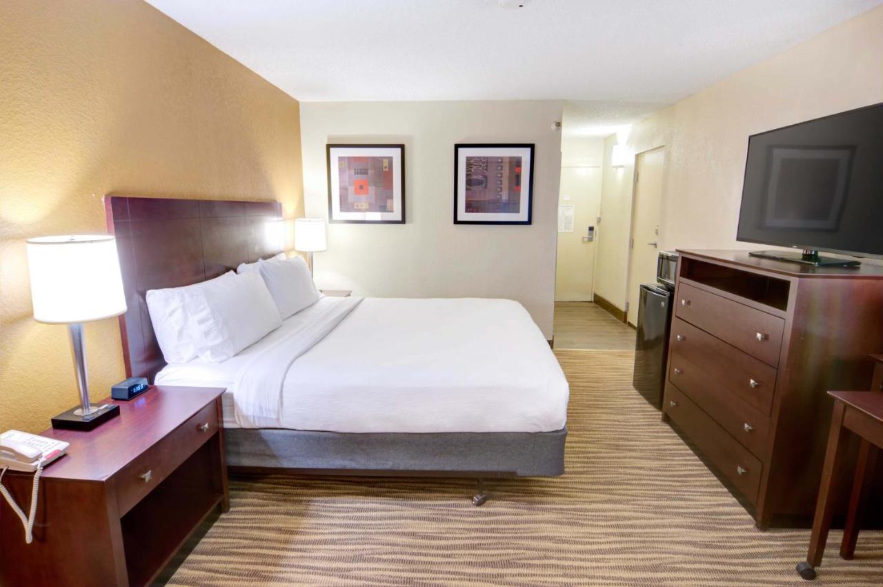 King Room - Disability Access/Non-Smoking at Holiday Inn St Petersburg N - Clearwater, an IHG Hotel